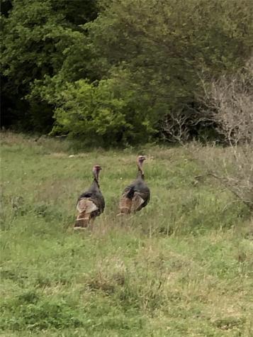 00 Quail Run Drive San Marcos TX 78666