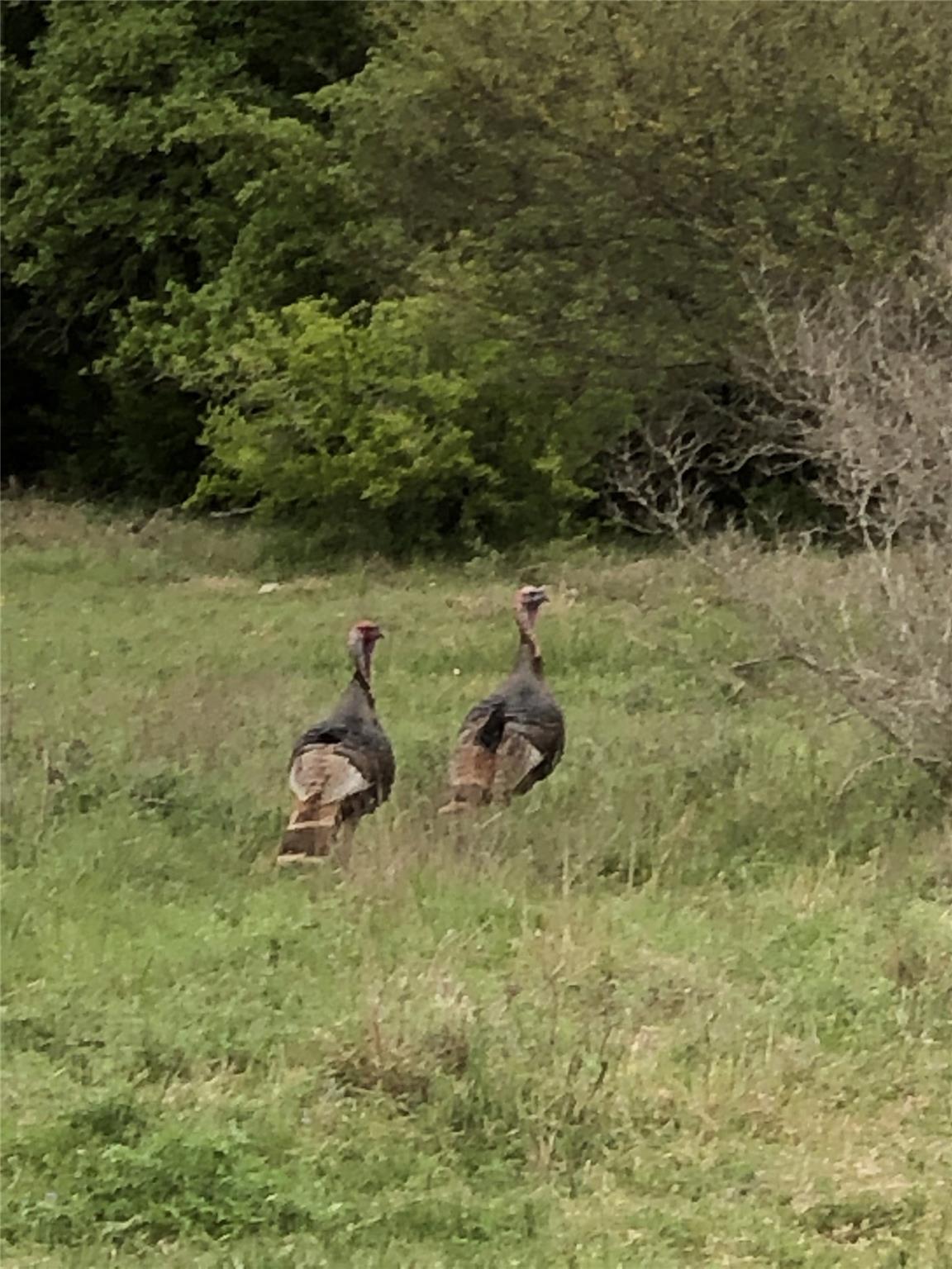00 Quail Run Drive San Marcos TX 78666