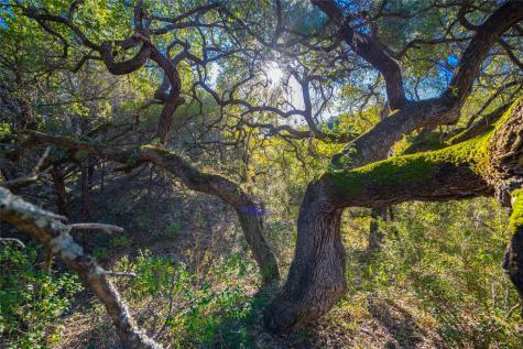 00 Quail Run Drive San Marcos TX 78666