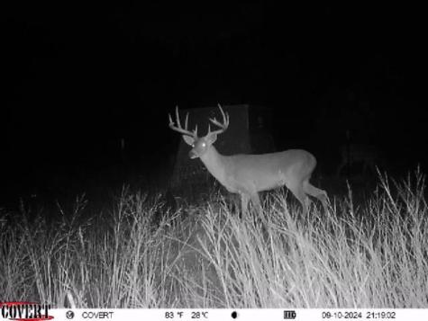 00 Quail Run Drive San Marcos TX 78666