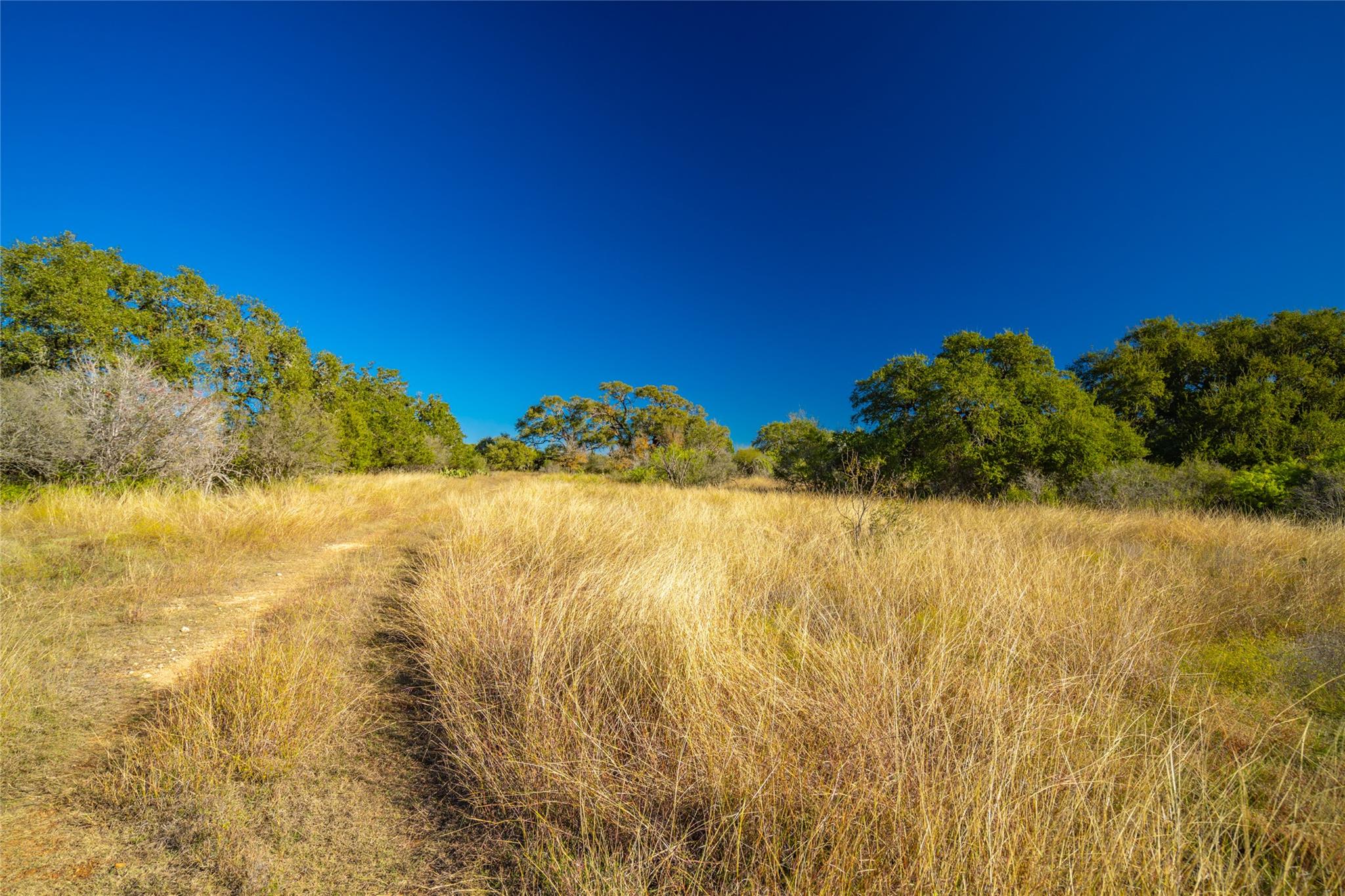 00 Quail Run Drive San Marcos TX 78666