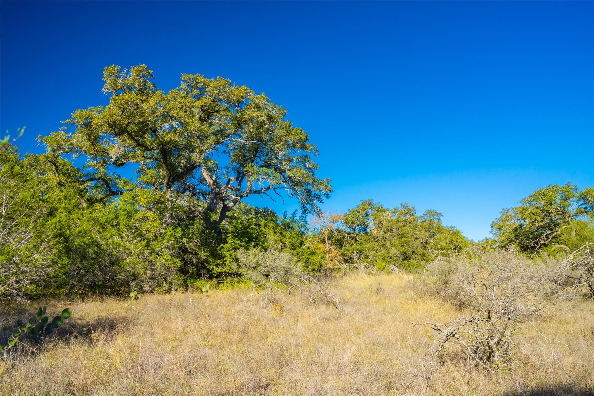 00 Quail Run Drive San Marcos TX 78666