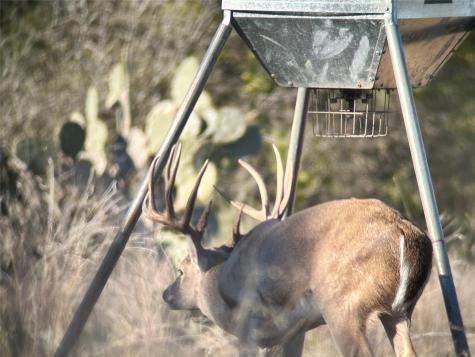 00 Quail Run Drive San Marcos TX 78666