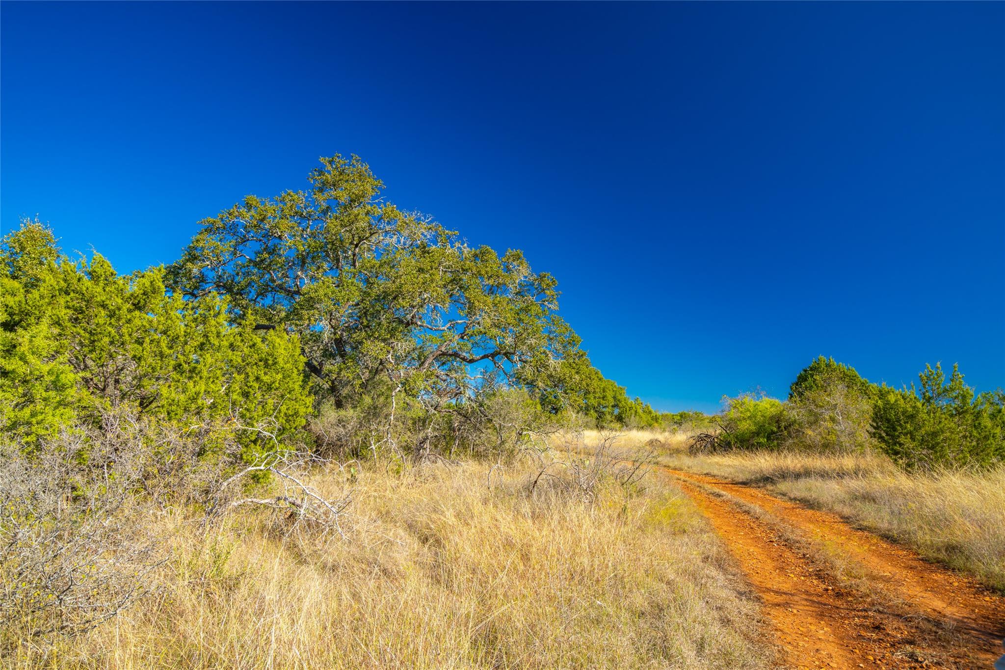 00 Quail Run Drive San Marcos TX 78666
