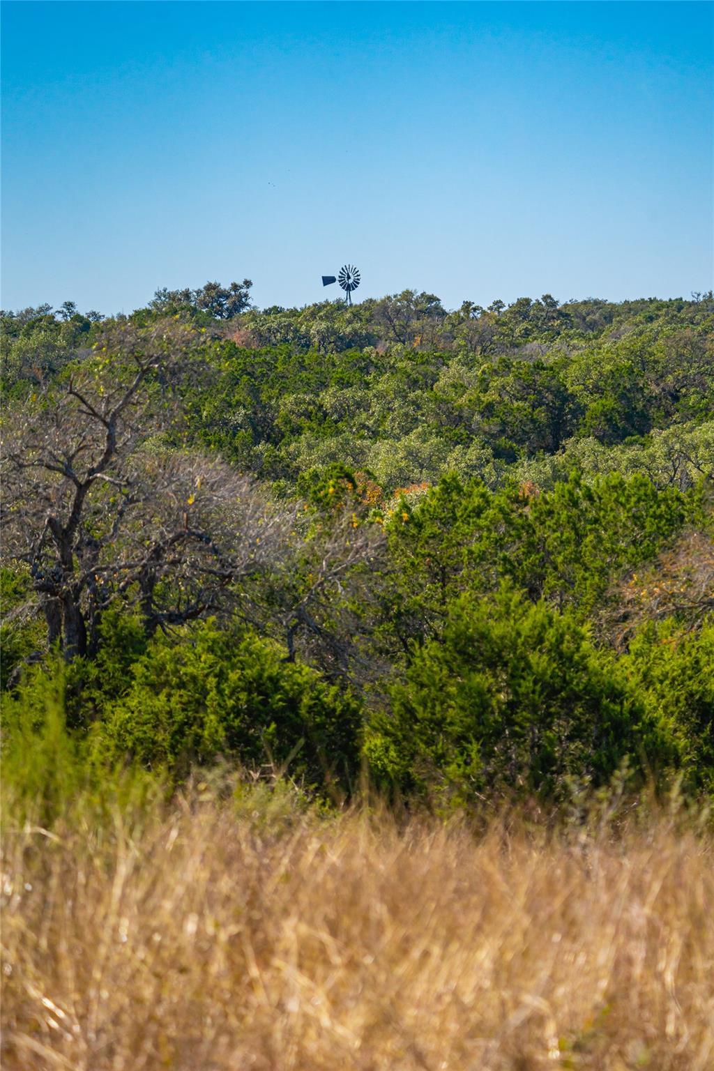 00 Quail Run Drive San Marcos TX 78666