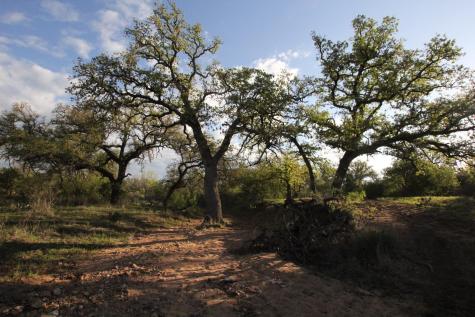2976 Lower Willow Creek Road Mason TX 76820