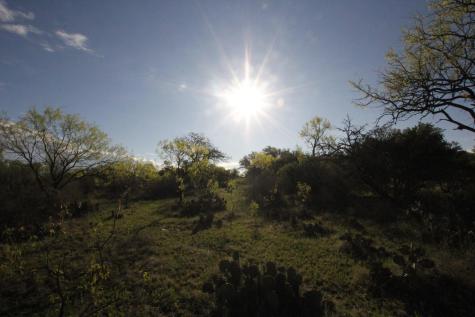2976 Lower Willow Creek Road Mason TX 76820