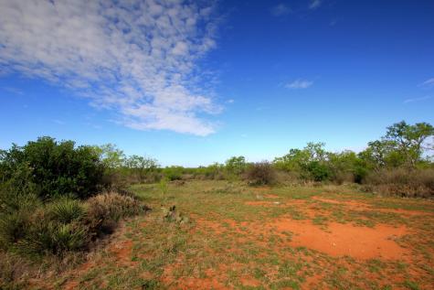 2976 Lower Willow Creek Road Mason TX 76820