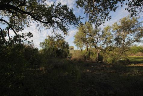 2976 Lower Willow Creek Road Mason TX 76820