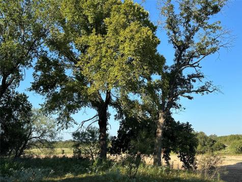 2976 Lower Willow Creek Road Mason TX 76820