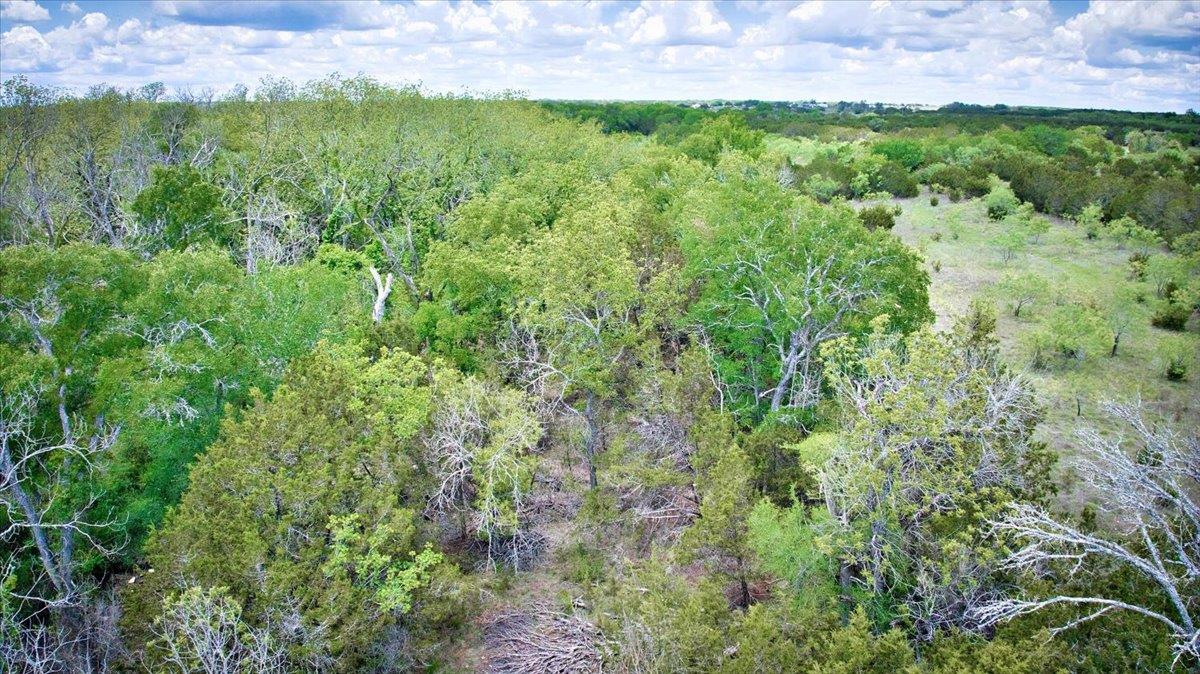 4220 County Road 202 Burnet TX 78611