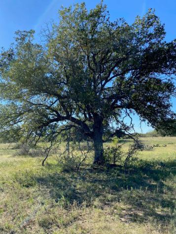 000A Union School House Road Mason TX 76856