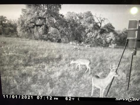 000A Union School House Road Mason TX 76856