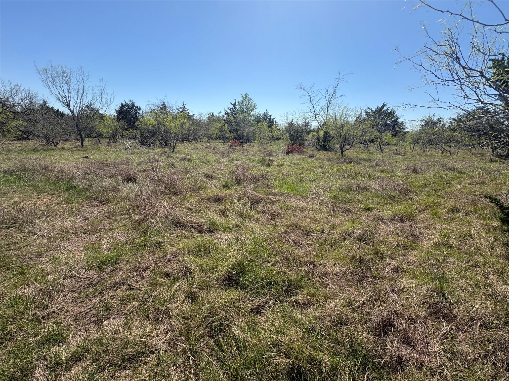 Tbd Patterson Road Flatonia TX 78941