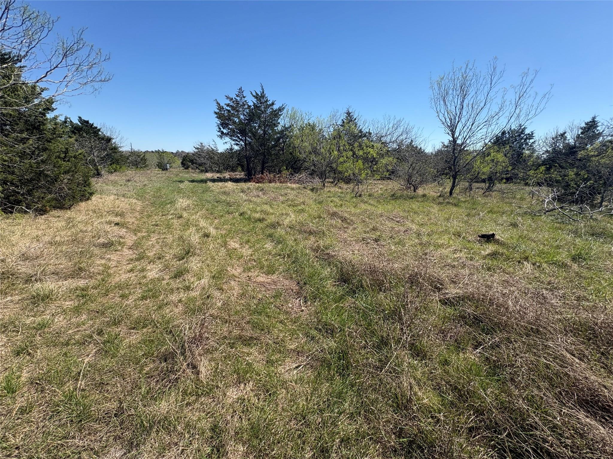 Tbd Patterson Road Flatonia TX 78941