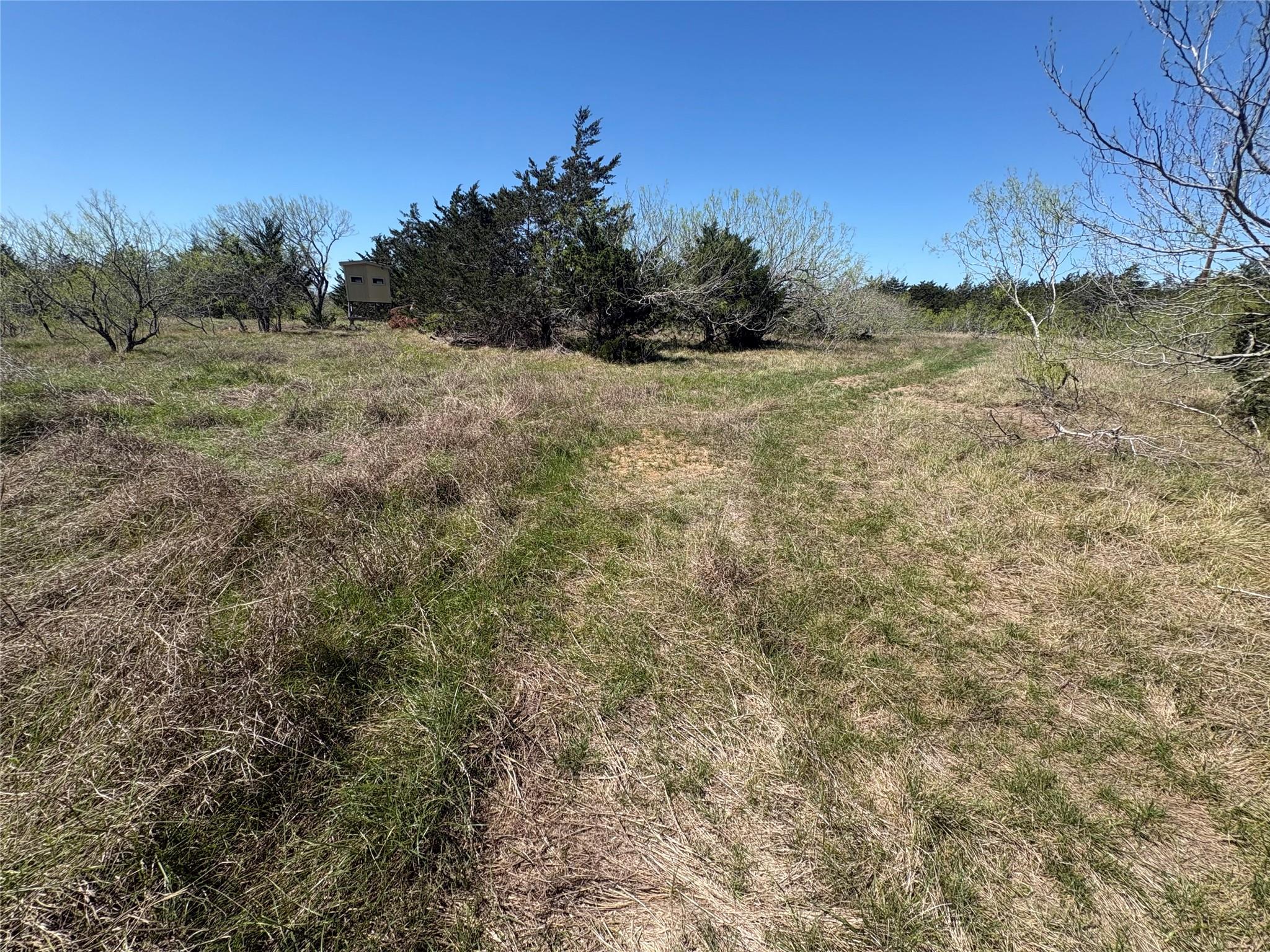 Tbd Patterson Road Flatonia TX 78941