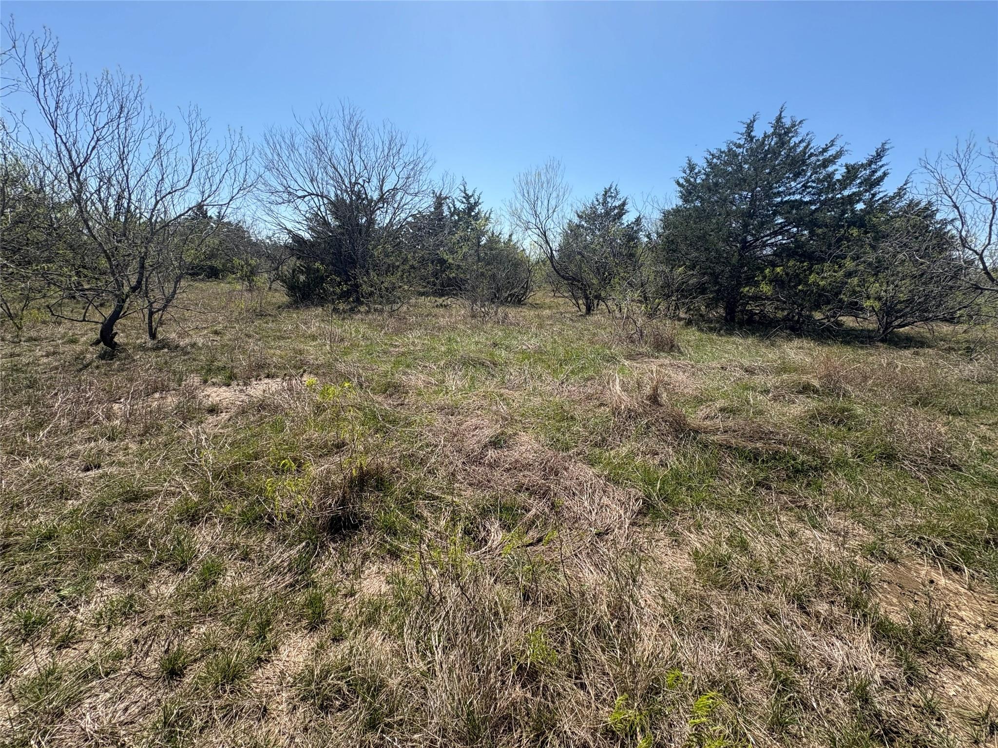 Tbd Patterson Road Flatonia TX 78941