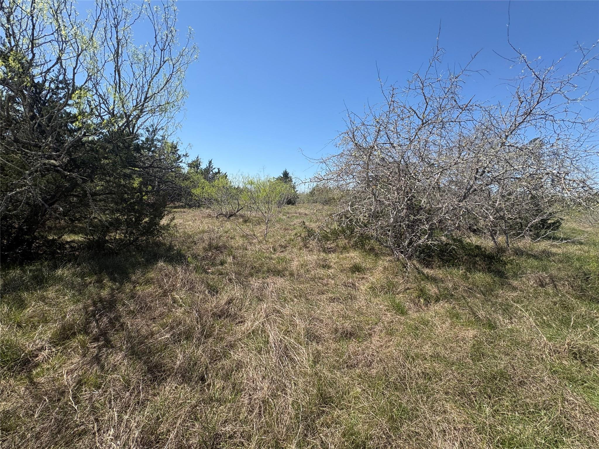 Tbd Patterson Road Flatonia TX 78941