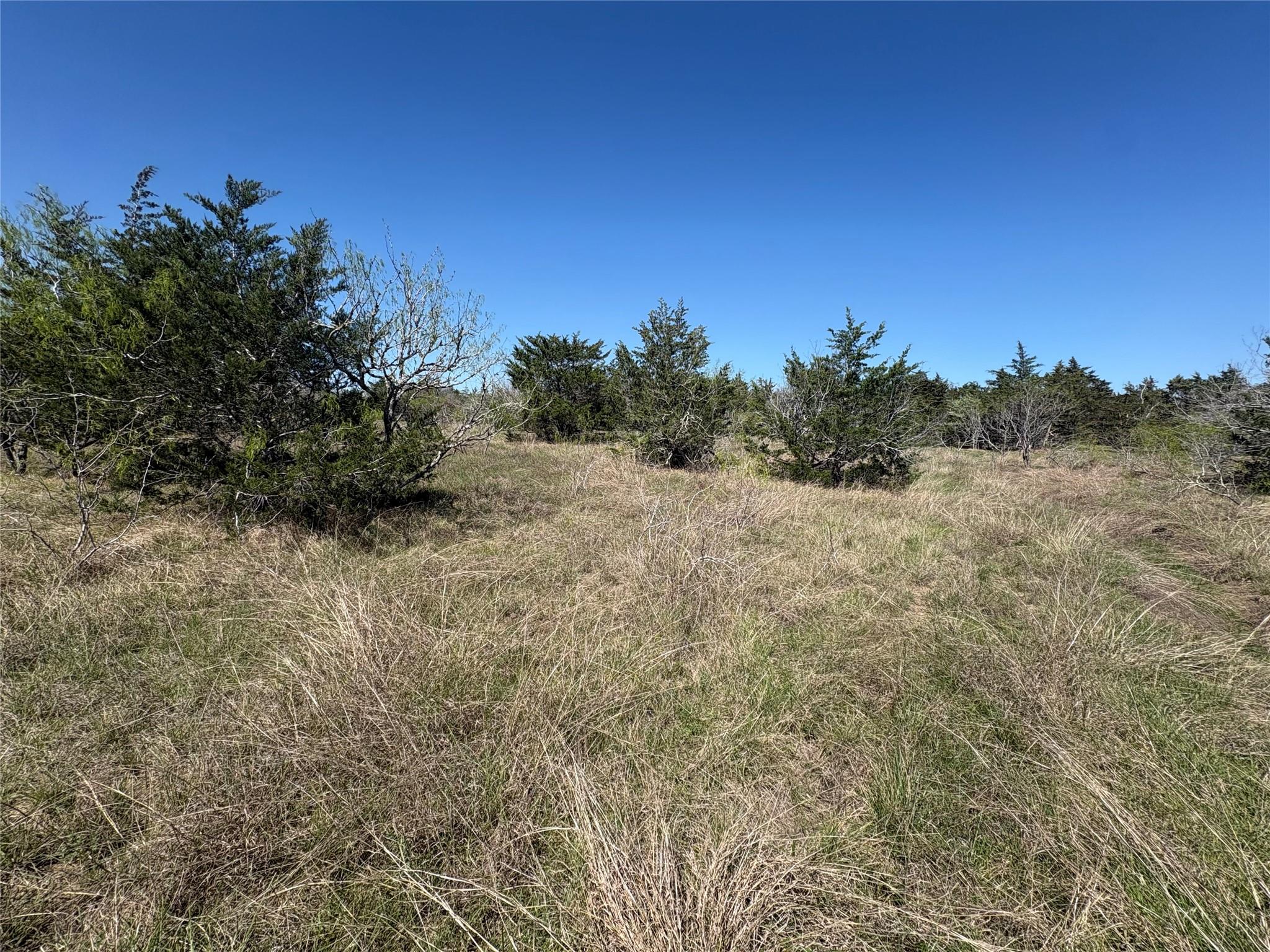 Tbd Patterson Road Flatonia TX 78941