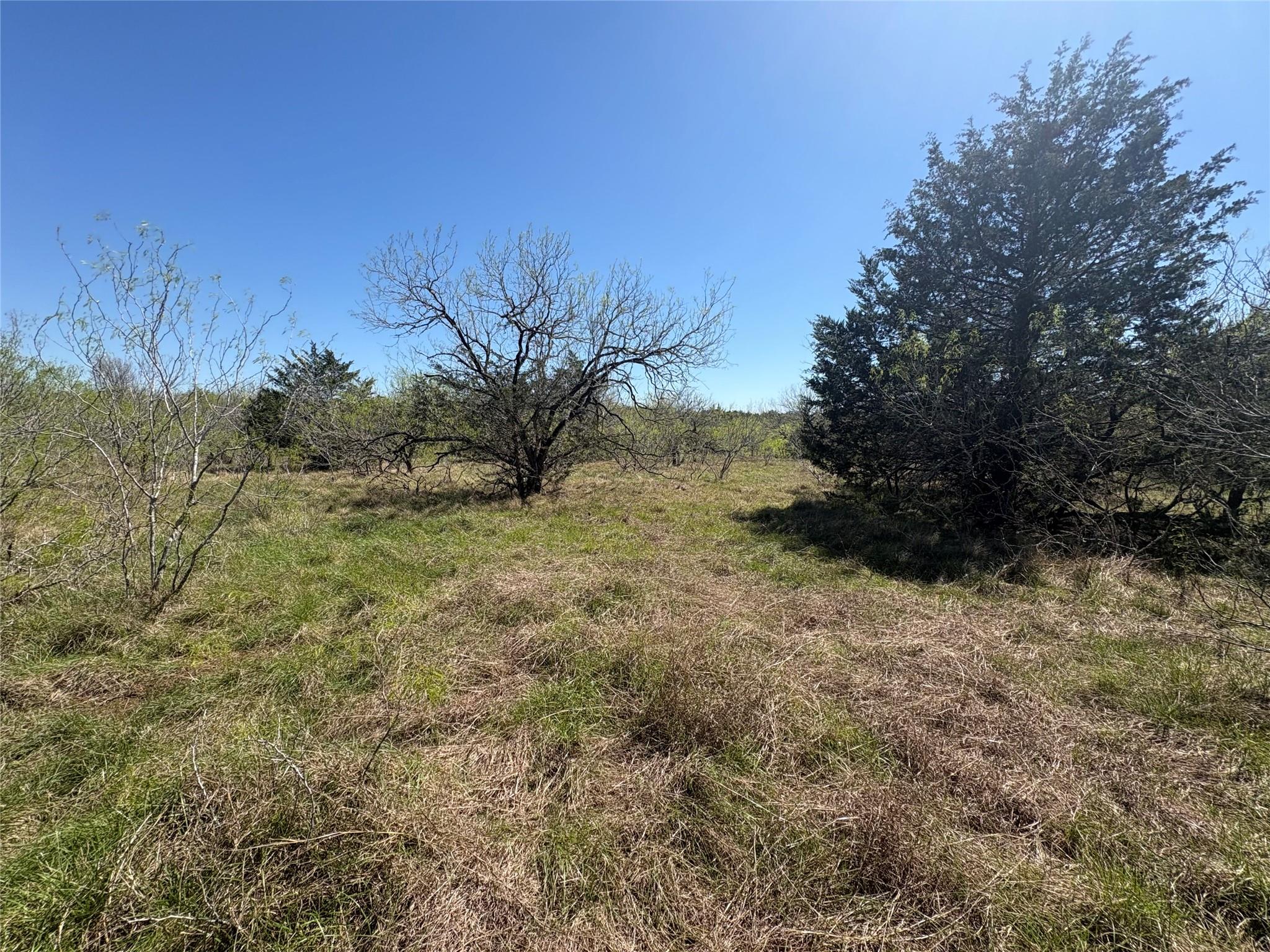 Tbd Patterson Road Flatonia TX 78941