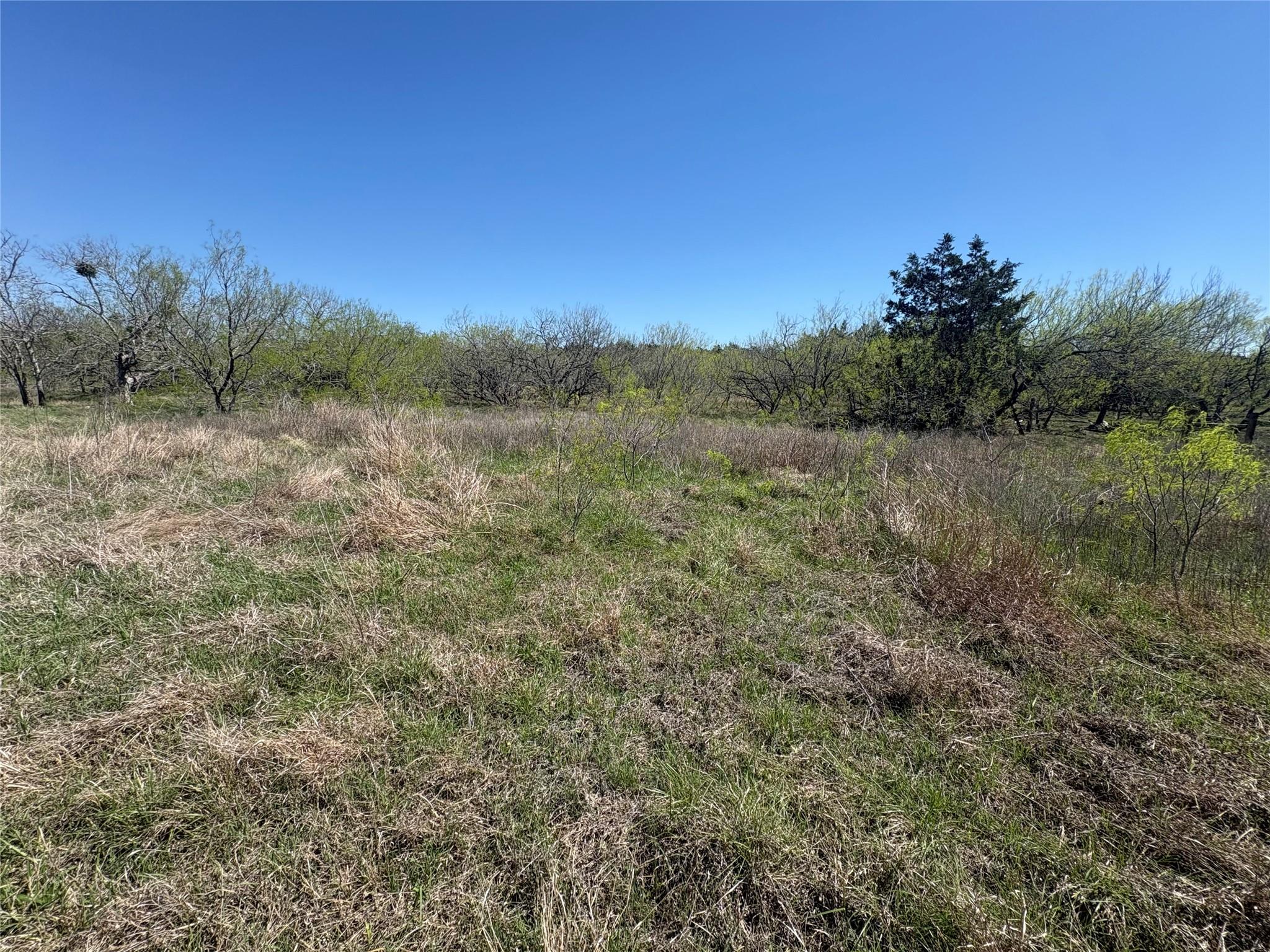 Tbd Patterson Road Flatonia TX 78941