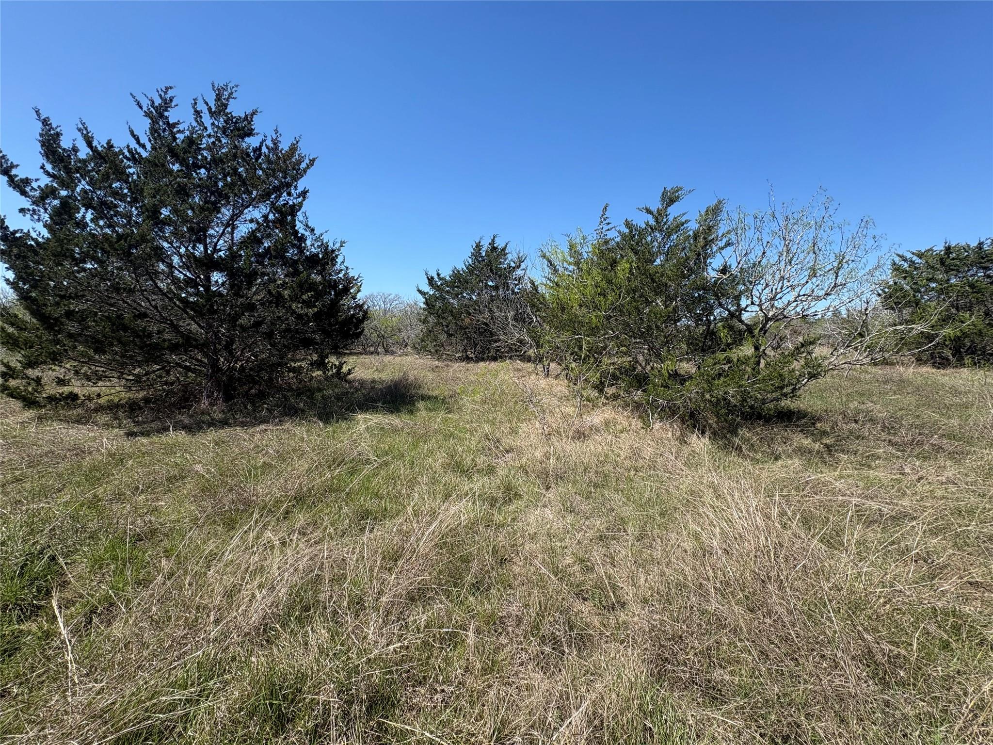 Tbd Patterson Road Flatonia TX 78941