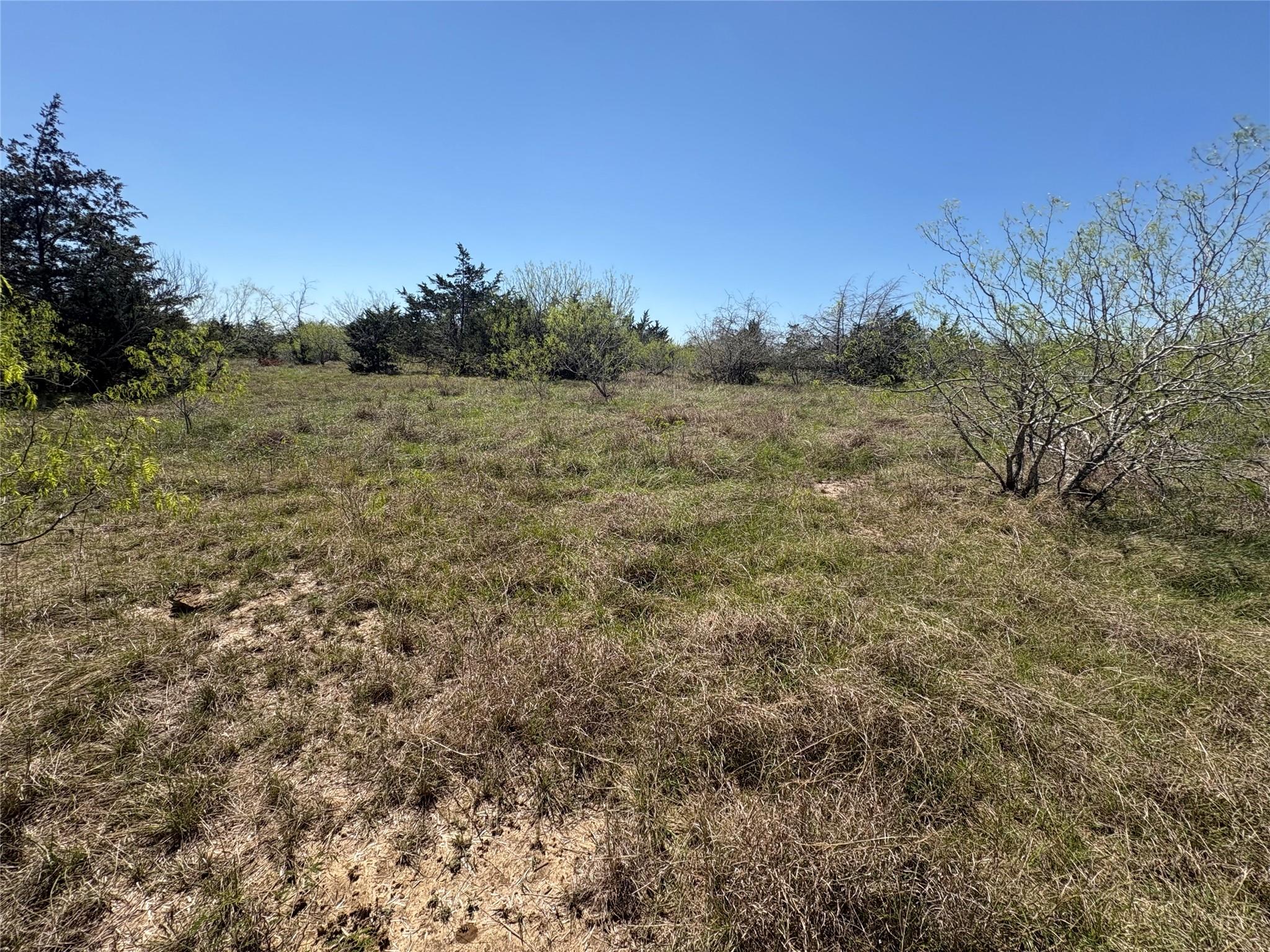 Tbd Patterson Road Flatonia TX 78941