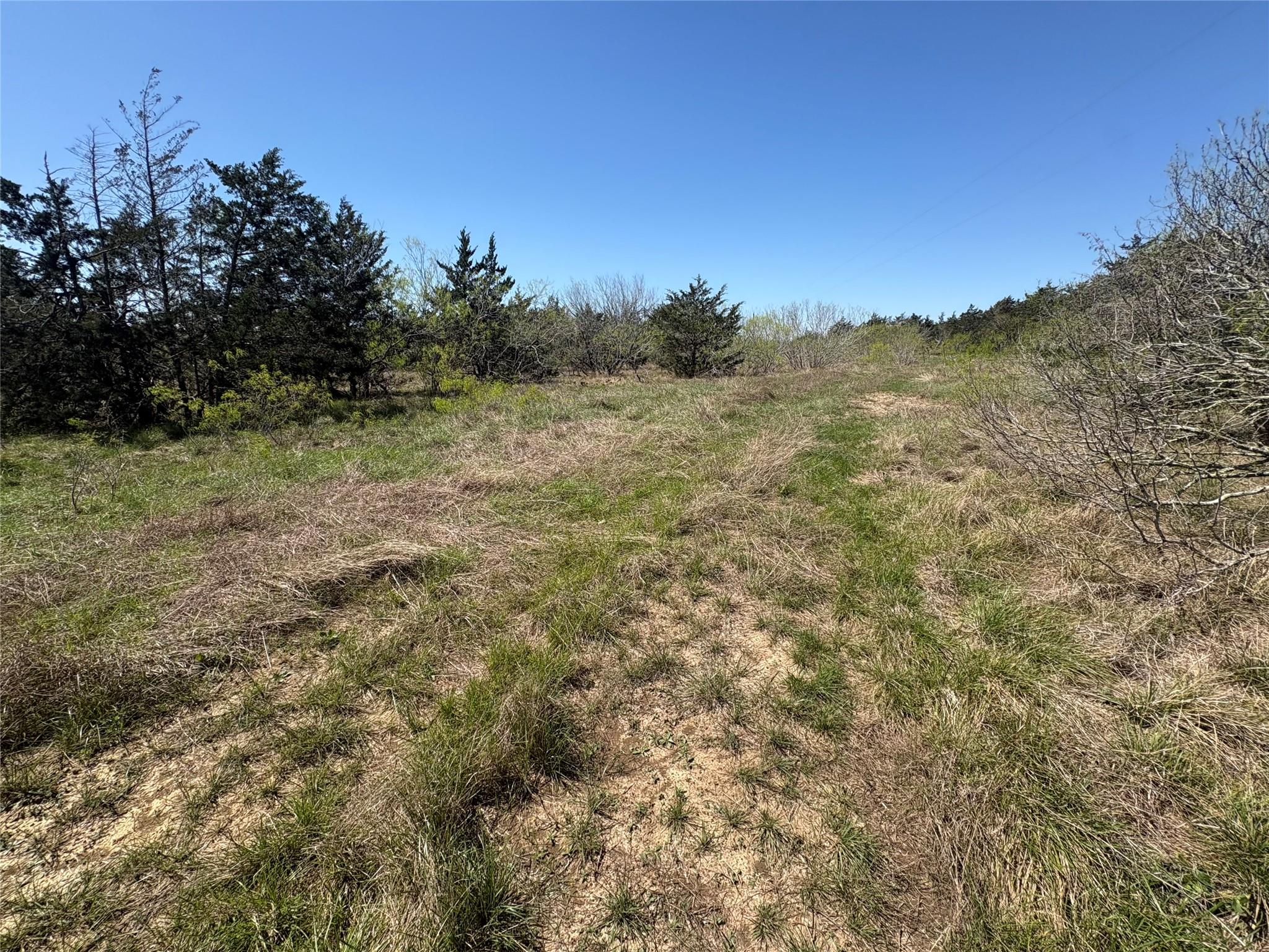 Tbd Patterson Road Flatonia TX 78941