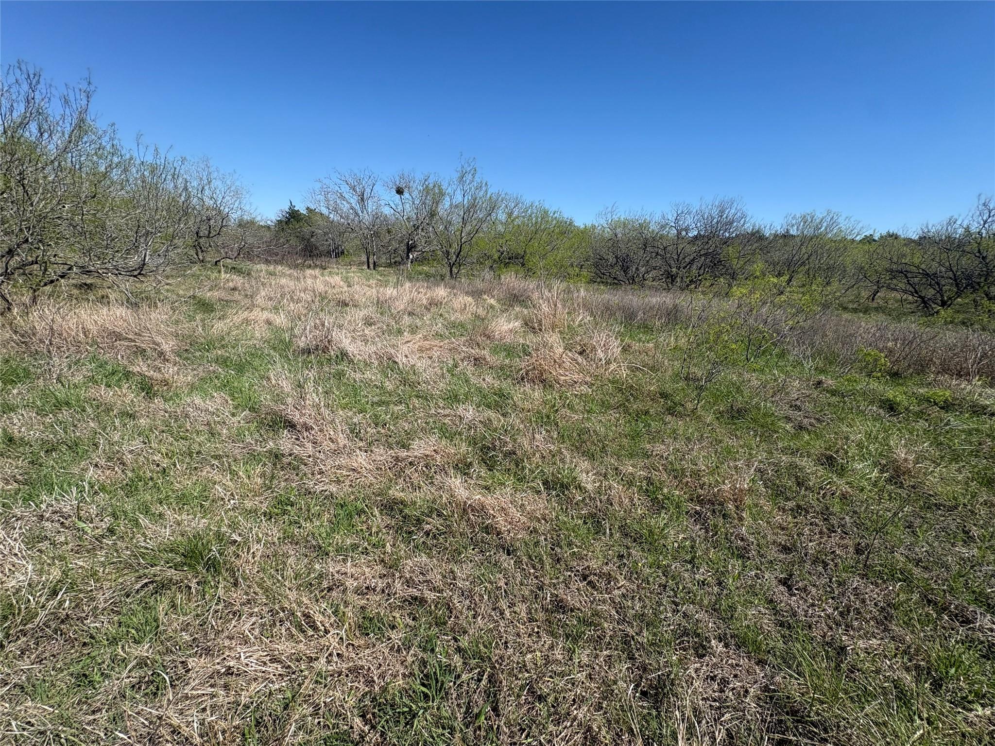 Tbd Patterson Road Flatonia TX 78941