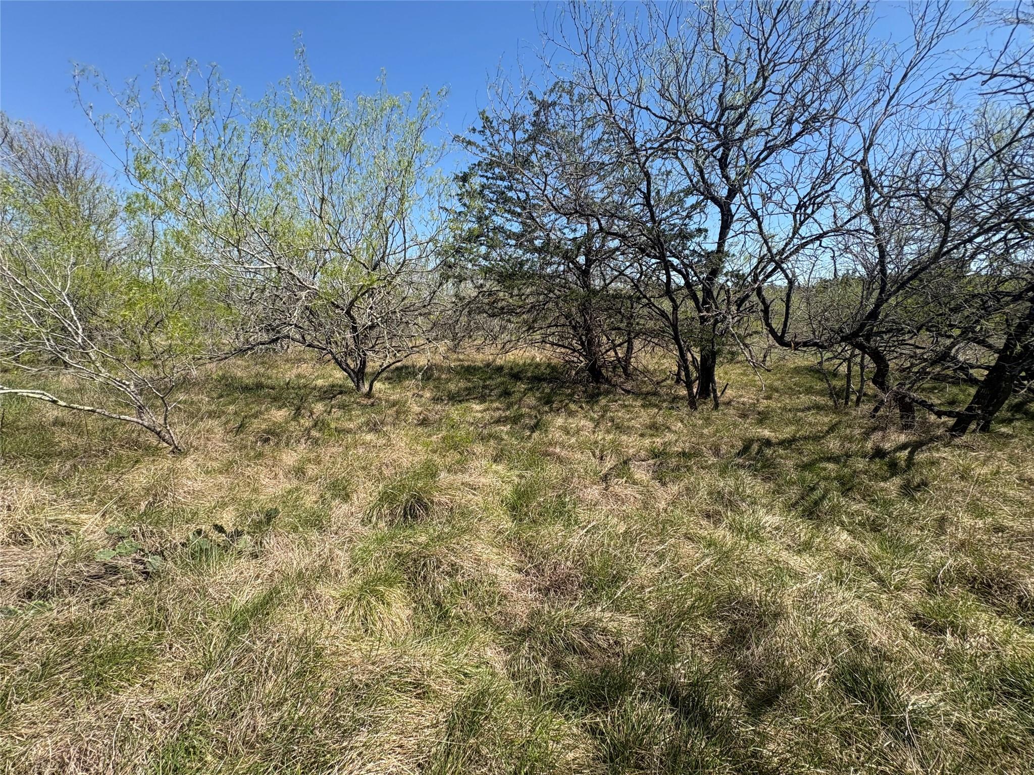 Tbd Patterson Road Flatonia TX 78941