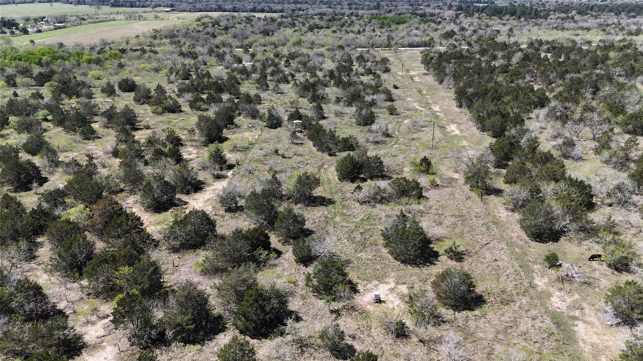 Tbd Patterson Road Flatonia TX 78941