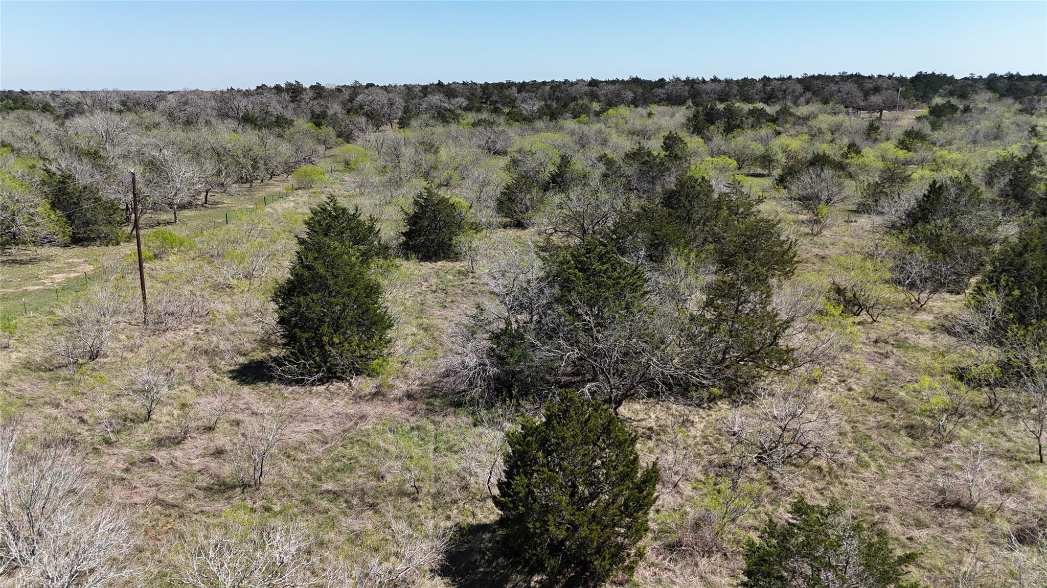 Tbd Patterson Road Flatonia TX 78941