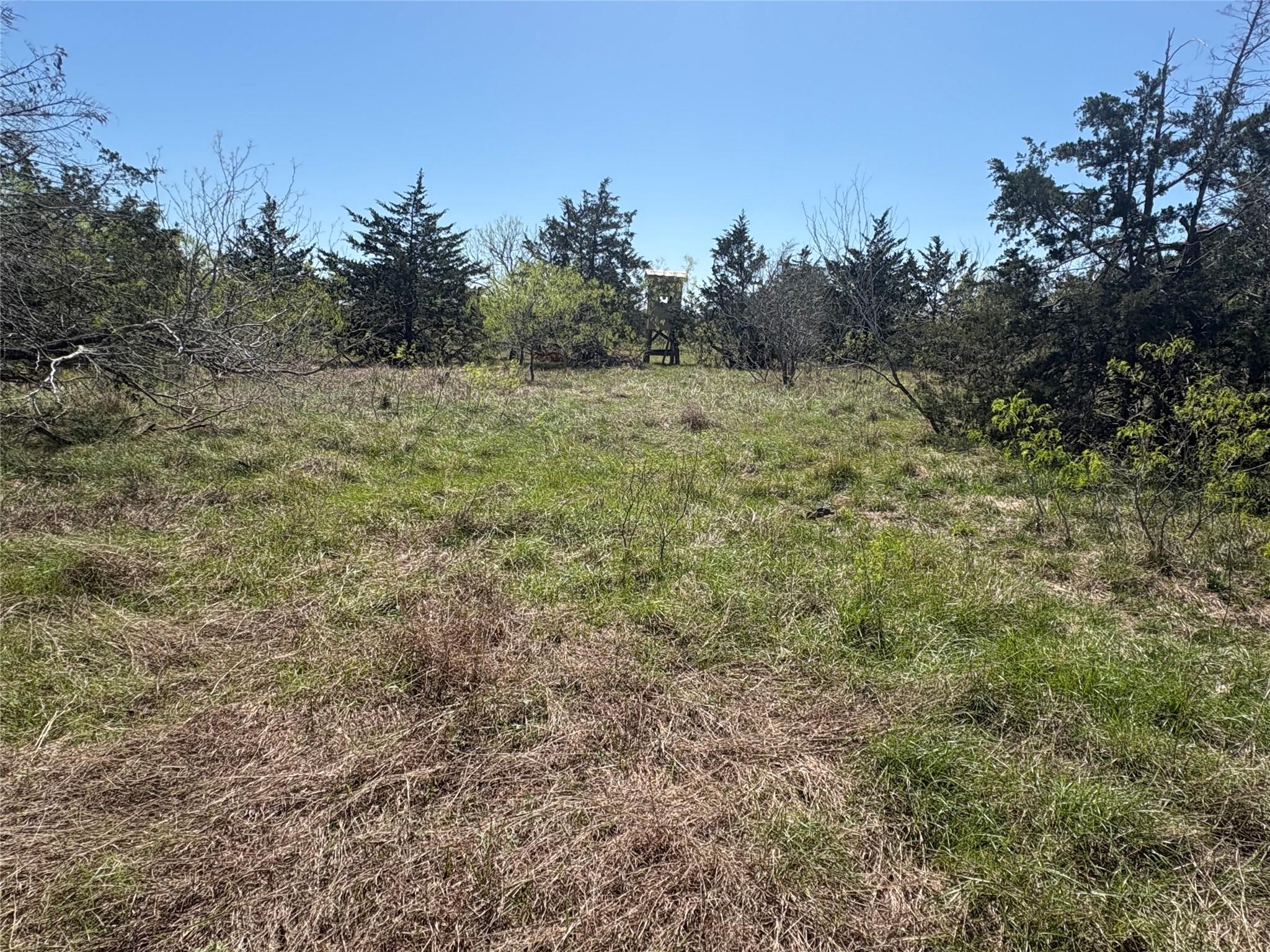 Tbd Patterson Road Flatonia TX 78941
