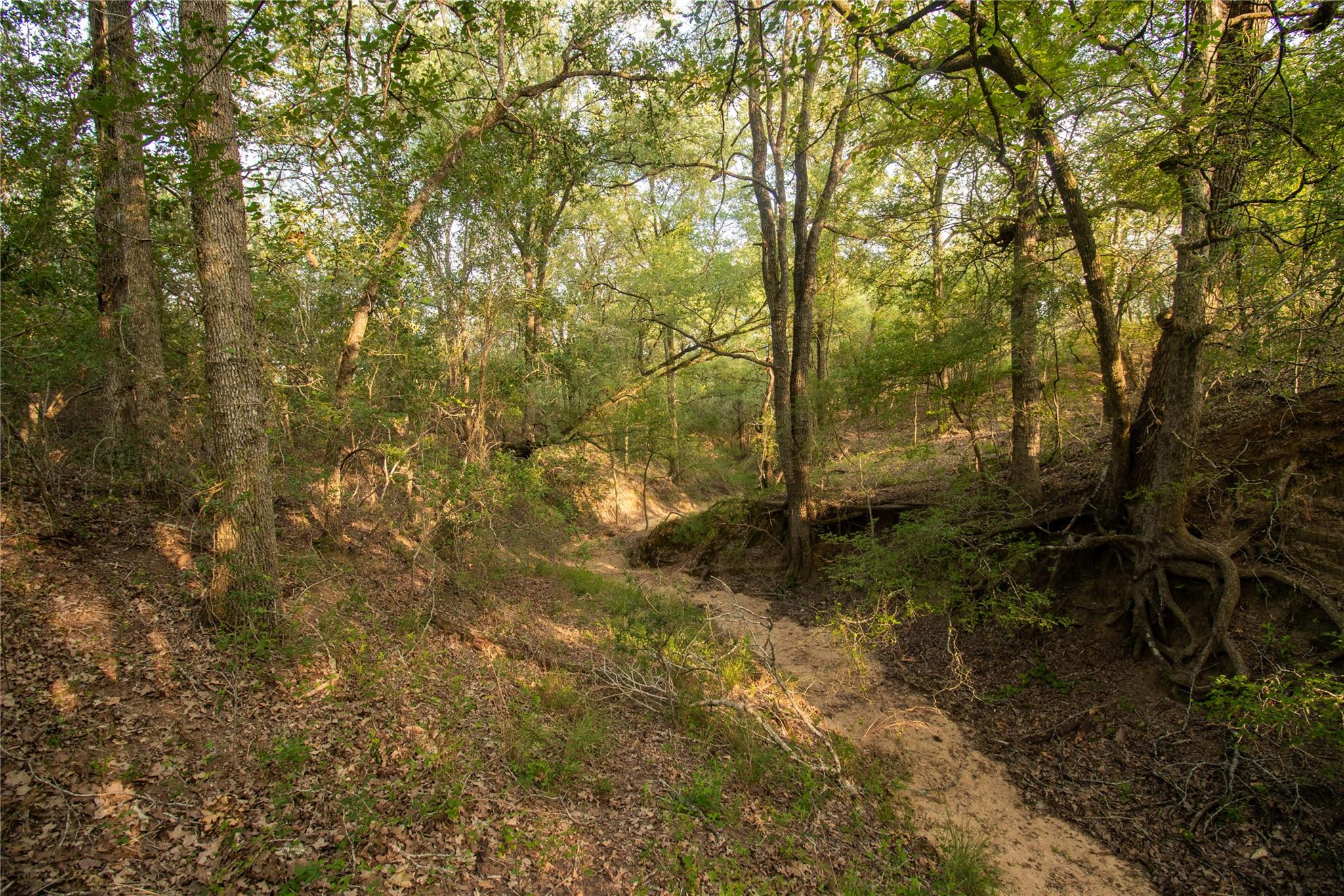 438 Firefly Field Lane Seguin TX 78155