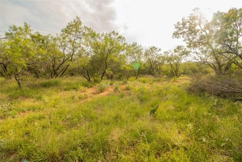 438 Firefly Field Lane Seguin TX 78155