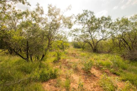 438 Firefly Field Lane Seguin TX 78155