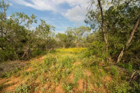 438 Firefly Field Lane Seguin TX 78155