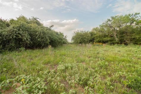 438 Firefly Field Lane Seguin TX 78155