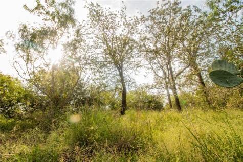 438 Firefly Field Lane Seguin TX 78155
