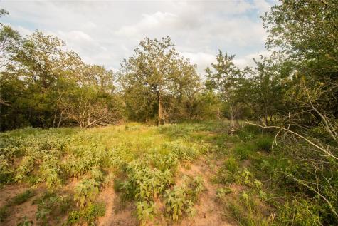 438 Firefly Field Lane Seguin TX 78155