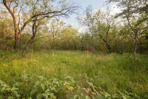 438 Firefly Field Lane Seguin TX 78155