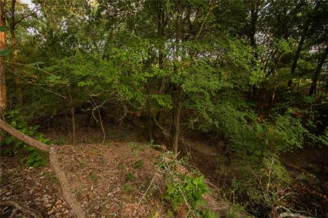 438 Firefly Field Lane Seguin TX 78155