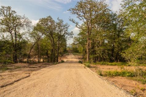 438 Firefly Field Lane Seguin TX 78155