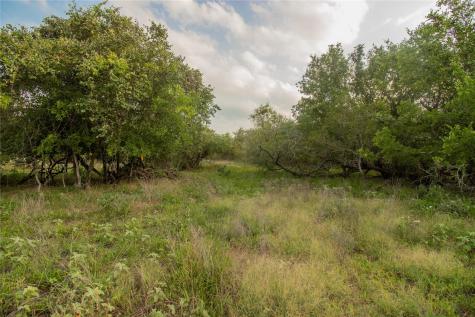 438 Firefly Field Lane Seguin TX 78155