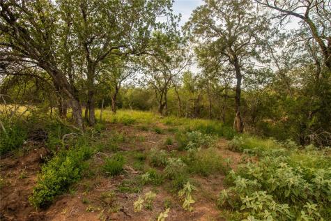 438 Firefly Field Lane Seguin TX 78155