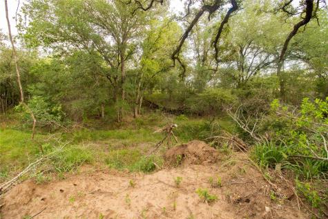 438 Firefly Field Lane Seguin TX 78155