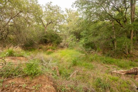438 Firefly Field Lane Seguin TX 78155