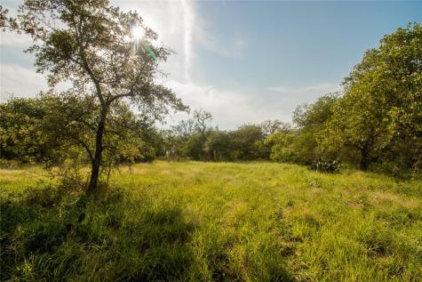 438 Firefly Field Lane Seguin TX 78155
