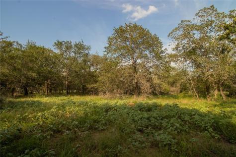 438 Firefly Field Lane Seguin TX 78155