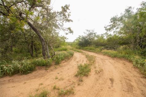 438 Firefly Field Lane Seguin TX 78155